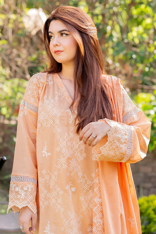 3 Piece - Embroidered Chikankari Lawn - W127