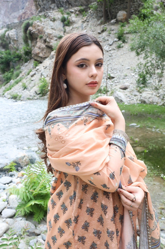 3 PIECE - EMBROIDERED LAWN - 8941