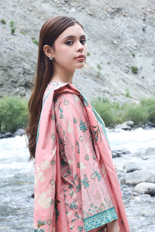 3 PIECE - EMBROIDERED LAWN - 8950