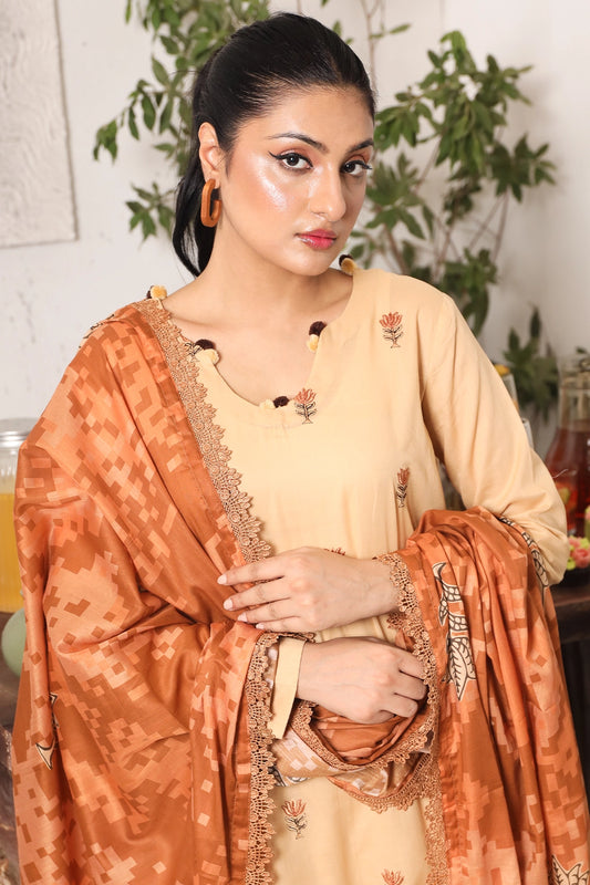 3 PIECE - PREMIUM EMBROIDERED LAWN - 8713