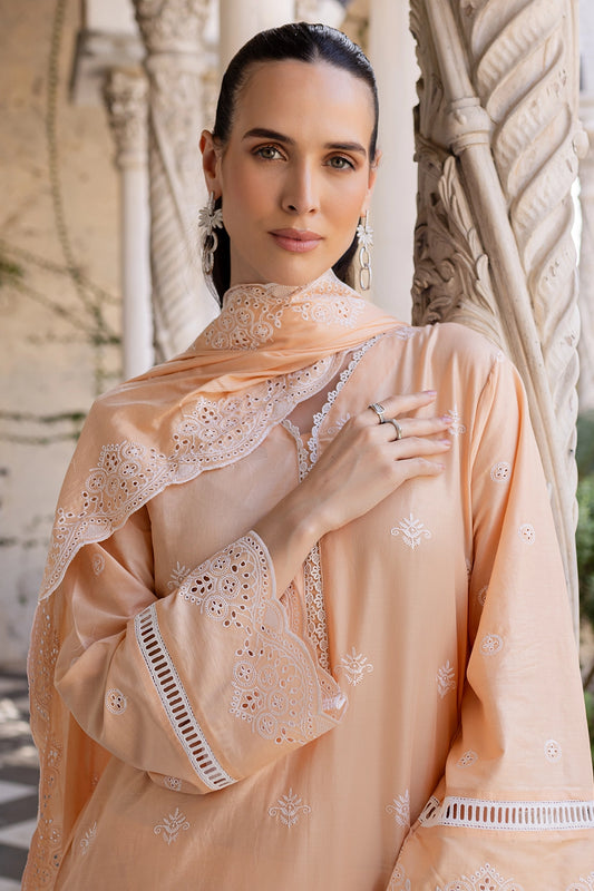 Clara Embroidered Lawn Rashid Tex Clara Embroidered Lawn Rashid Tex